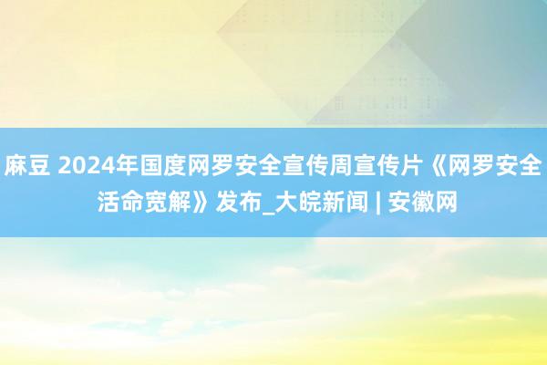 麻豆 2024年国度网罗安全宣传周宣传片《网罗安全 活命宽解》发布_大皖新闻 | 安徽网