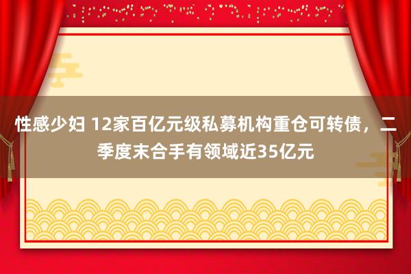 性感少妇 12家百亿元级私募机构重仓可转债，二季度末合手有领域近35亿元