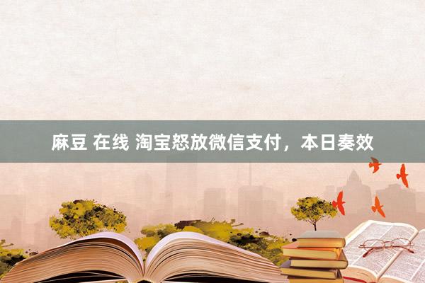 麻豆 在线 淘宝怒放微信支付，本日奏效