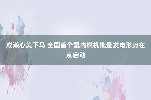 成濑心美下马 全国首个氢内燃机批量发电形势在京启动