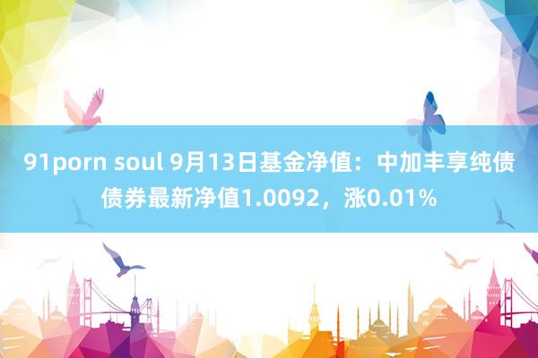 91porn soul 9月13日基金净值：中加丰享纯债债券最新净值1.0092，涨0.01%