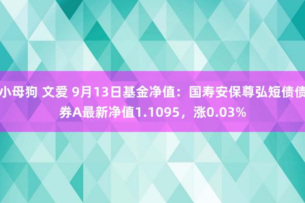 小母狗 文爱 9月13日基金净值：国寿安保尊弘短债债券A最新净值1.1095，涨0.03%