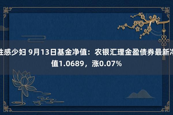 性感少妇 9月13日基金净值：农银汇理金盈债券最新净值1.0689，涨0.07%