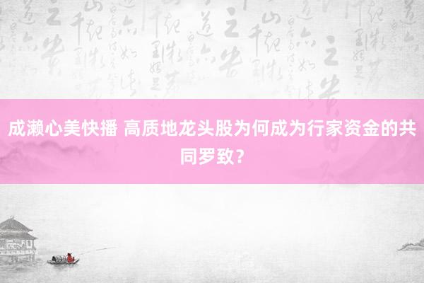 成濑心美快播 高质地龙头股为何成为行家资金的共同罗致？