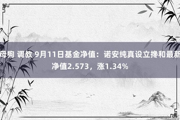 母狗 调教 9月11日基金净值：诺安纯真设立搀和最新净值2.573，涨1.34%