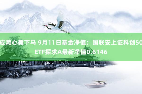 成濑心美下马 9月11日基金净值：国联安上证科创50ETF探求A最新净值0.61