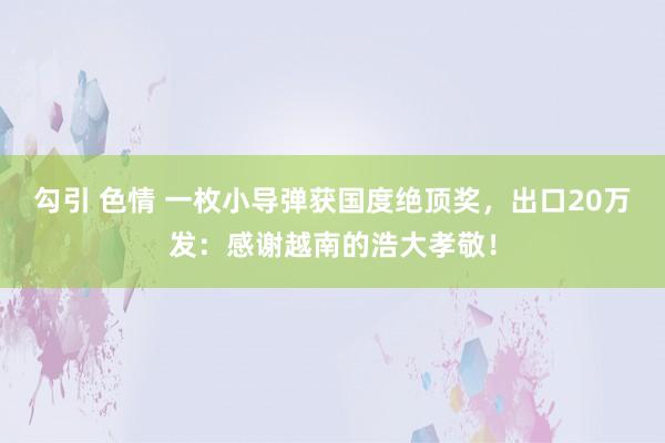 勾引 色情 一枚小导弹获国度绝顶奖，出口20万发：感谢越南的浩大孝敬！