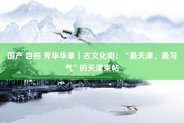 国产 自拍 芳华华章｜古文化街：“最天津、最习气”的天津柬帖