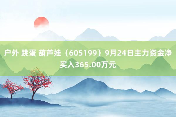 户外 跳蛋 葫芦娃（605199）9月24日主力资金净买入365.00万元