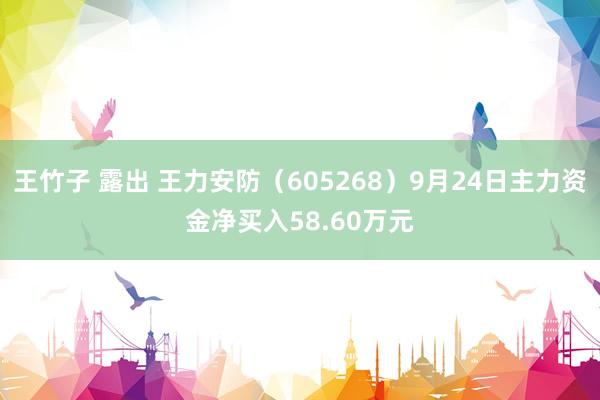 王竹子 露出 王力安防（605268）9月24日主力资金净买入58.60万元