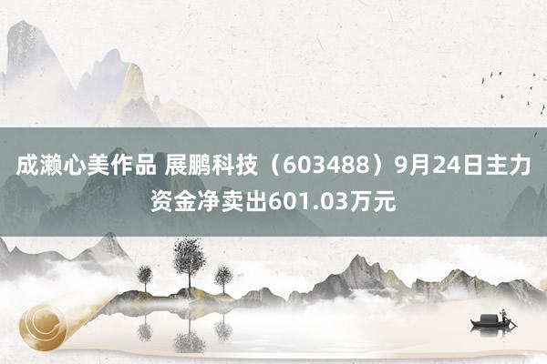 成濑心美作品 展鹏科技（603488）9月24日主力资金净卖出601.03万元