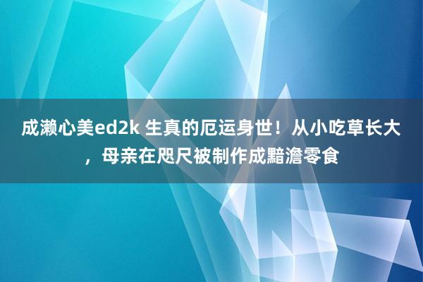 成濑心美ed2k 生真的厄运身世！从小吃草长大，母亲在咫尺被制作成黯澹零食