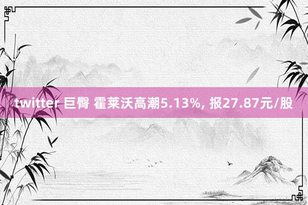 twitter 巨臀 霍莱沃高潮5.13%， 报27.87元/股