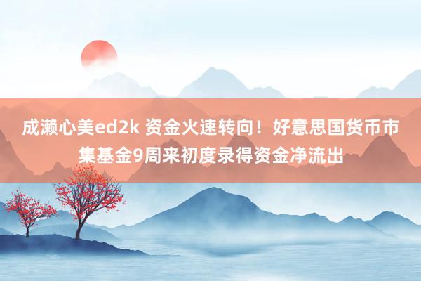 成濑心美ed2k 资金火速转向！好意思国货币市集基金9周来初度录得资金净流出