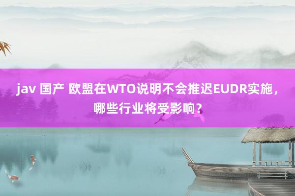 jav 国产 欧盟在WTO说明不会推迟EUDR实施，哪些行业将受影响？