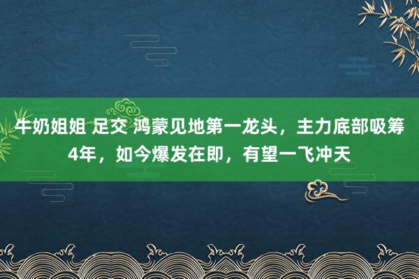 牛奶姐姐 足交 鸿蒙见地第一龙头，主力底部吸筹4年，如今爆发在即，有望一飞冲天