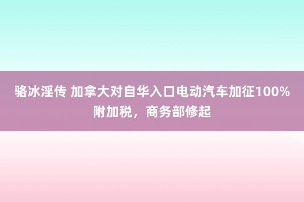 骆冰淫传 加拿大对自华入口电动汽车加征100%附加税，商务部修起