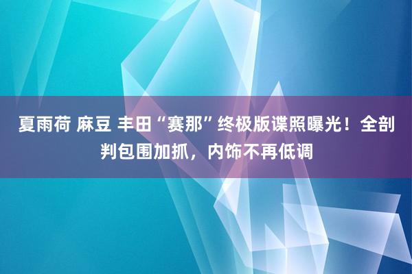 夏雨荷 麻豆 丰田“赛那”终极版谍照曝光！全剖判包围加抓，内饰不再低调