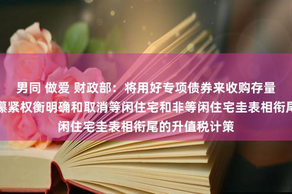 男同 做爱 财政部：将用好专项债券来收购存量商品房，正在攥紧权衡明确和取消等闲住宅和非等闲住宅圭表相衔尾的升值税计策