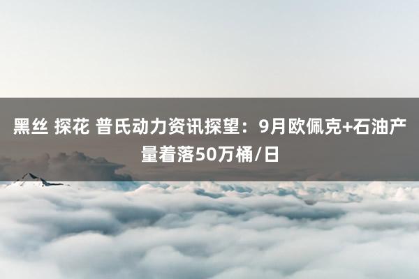 黑丝 探花 普氏动力资讯探望：9月欧佩克+石油产量着落50万桶/日