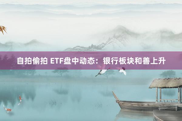 自拍偷拍 ETF盘中动态：银行板块和善上升