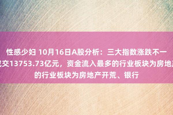 性感少妇 10月16日A股分析：三大指数涨跌不一，两市推断成交13753.73亿元，资金流入最多的行业板块为房地产开荒、银行