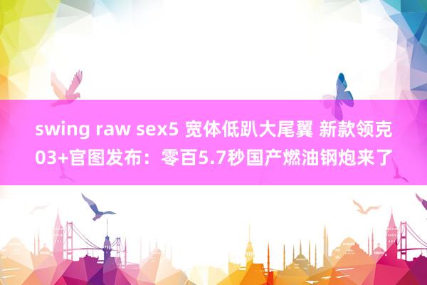 swing raw sex5 宽体低趴大尾翼 新款领克03+官图发布：零百5.7秒国产燃油钢炮来了