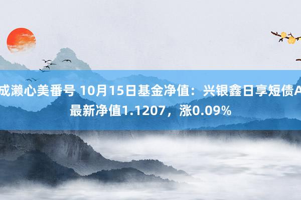 成濑心美番号 10月15日基金净值：兴银鑫日享短债A最新净值1.1207，涨0.09%