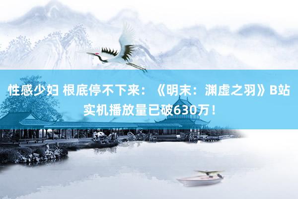 性感少妇 根底停不下来：《明末：渊虚之羽》B站实机播放量已破630万！