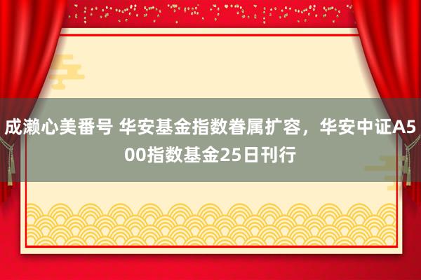 成濑心美番号 华安基金指数眷属扩容，华安中证A500指数基金25日刊行