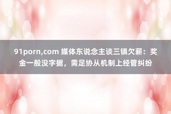 91porn，com 媒体东说念主谈三镇欠薪：奖金一般没字据，需足协从机制上经管纠纷