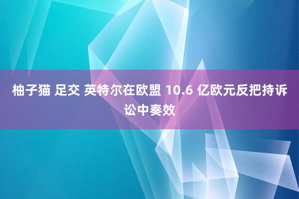 柚子猫 足交 英特尔在欧盟 10.6 亿欧元反把持诉讼中奏效