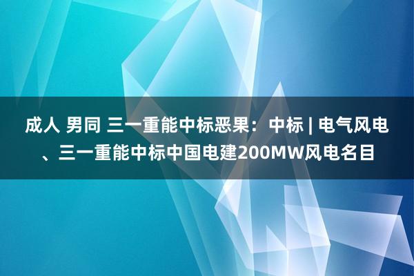 成人 男同 三一重能中标恶果：中标 | 电气风电、三一重能中标中国电建200MW风电名目