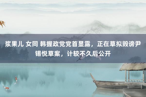 浆果儿 女同 韩握政党党首显露，正在草拟毁谤尹锡悦草案，计较不久后公开