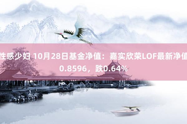 性感少妇 10月28日基金净值：嘉实欣荣LOF最新净值0.8596，跌0.64%