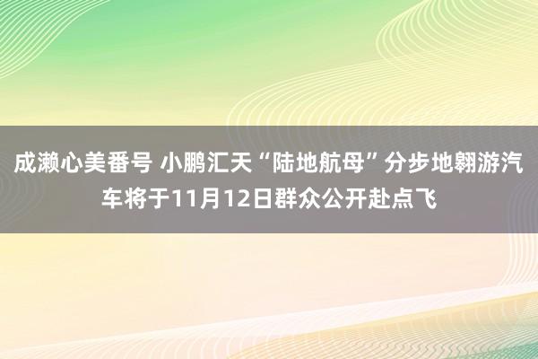 成濑心美番号 小鹏汇天“陆地航母”分步地翱游汽车将于11月12日群众公开赴点飞