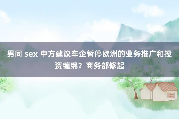 男同 sex 中方建议车企暂停欧洲的业务推广和投资缠绵？商务部修起