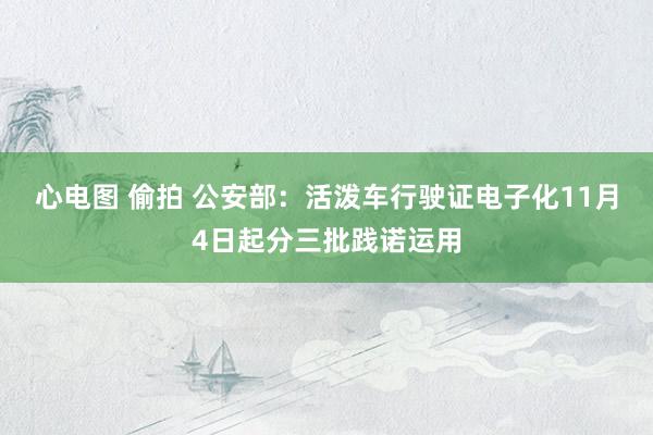 心电图 偷拍 公安部：活泼车行驶证电子化11月4日起分三批践诺运用