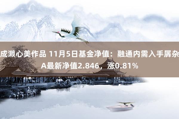 成濑心美作品 11月5日基金净值：融通内需入手羼杂A最新净值2.846，涨0.81%