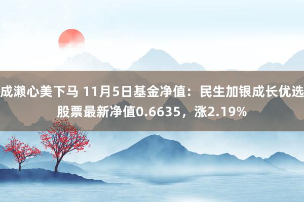 成濑心美下马 11月5日基金净值：民生加银成长优选股票最新净值0.6635，涨2.19%