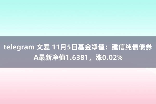 telegram 文爱 11月5日基金净值：建信纯债债券A最新净值1.6381，涨0.02%