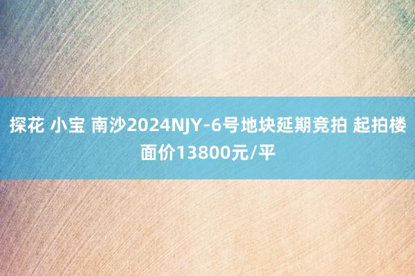 探花 小宝 南沙2024NJY-6号地块延期竞拍 起拍楼面价13800元/平