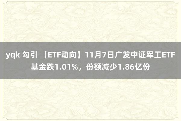 yqk 勾引 【ETF动向】11月7日广发中证军工ETF基金跌1.01%，份额减