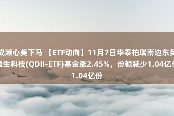 成濑心美下马 【ETF动向】11月7日华泰柏瑞南边东英恒生科技(QDII-ETF