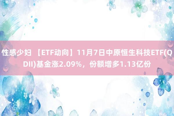 性感少妇 【ETF动向】11月7日中原恒生科技ETF(QDII)基金涨2.09%