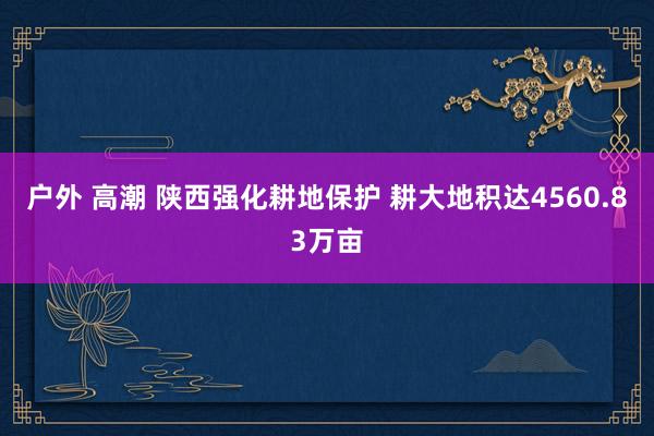 户外 高潮 陕西强化耕地保护 耕大地积达4560.83万亩