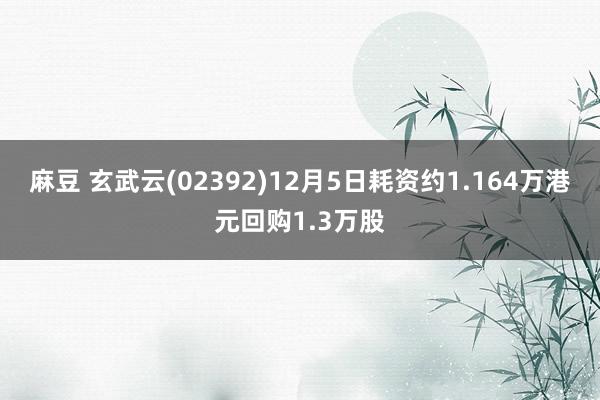 麻豆 玄武云(02392)12月5日耗资约1.164万港元回购1.3万股