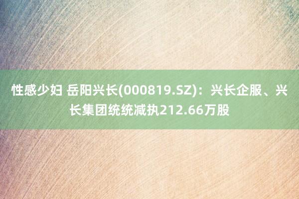 性感少妇 岳阳兴长(000819.SZ)：兴长企服、兴长集团统统减执212.66万股