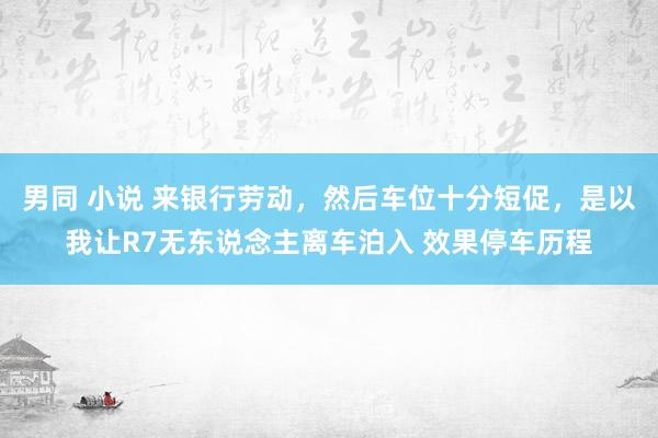 男同 小说 来银行劳动，然后车位十分短促，是以我让R7无东说念主离车泊入 效果停车历程