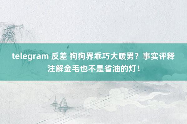 telegram 反差 狗狗界乖巧大暖男？事实评释注解金毛也不是省油的灯！